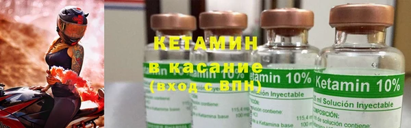 прущие грибы Карпинск