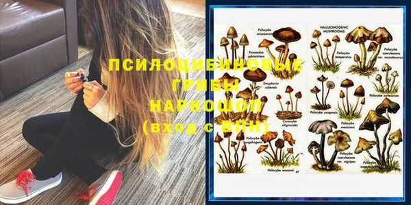 трава Саяногорск