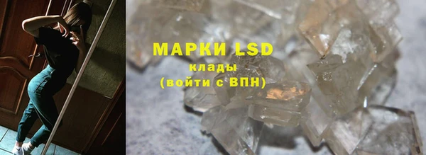 прущие грибы Карпинск