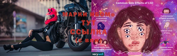 прущие грибы Карпинск