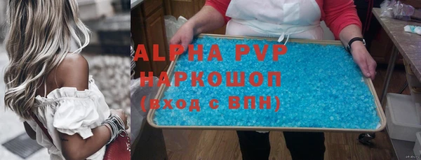 прущие грибы Карпинск