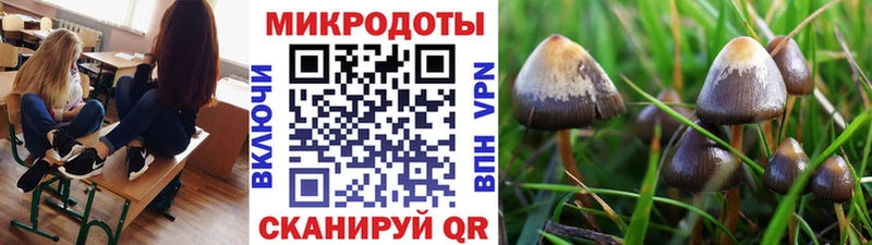 Псилоцибиновые грибы Magic Shrooms  Купить закладки  Демидов 